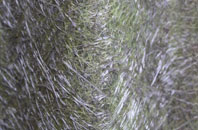 Crewkerne fibreglass roof work